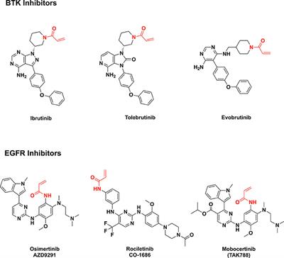 Synthesis of Radiopharmaceuticals via “In-Loop” 11C-Carbonylation as Exemplified by the Radiolabeling of Inhibitors of Bruton's Tyrosine Kinase